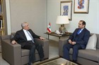 Former President Michel Sleiman Meets Emirates Ambassador